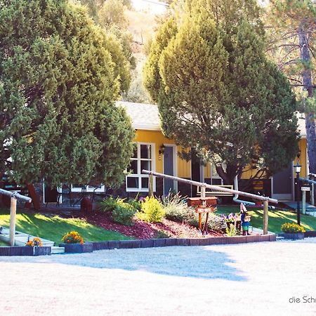 The Pines Country Inn Newcastle ภายนอก รูปภาพ