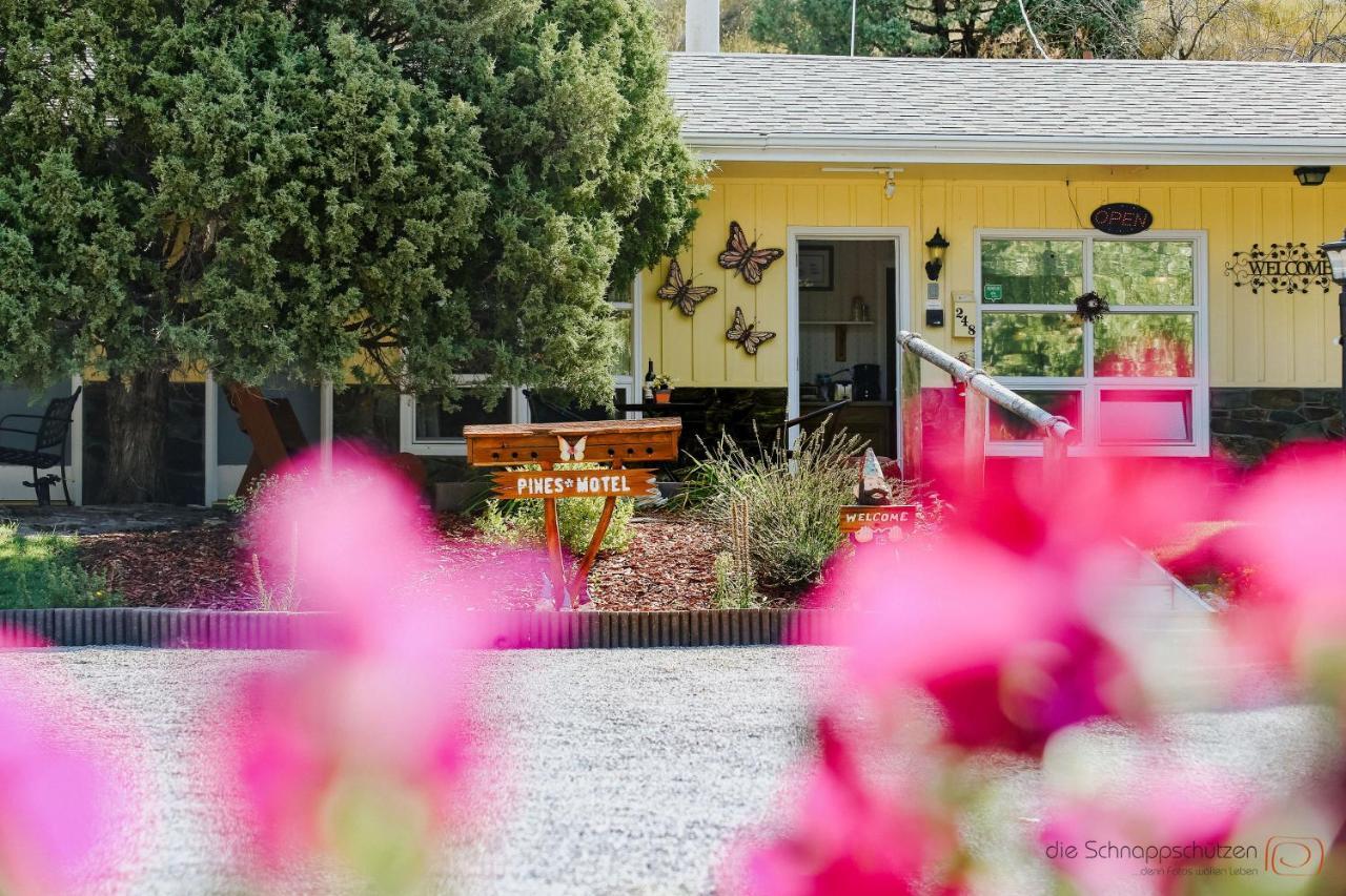 The Pines Country Inn Newcastle ภายนอก รูปภาพ